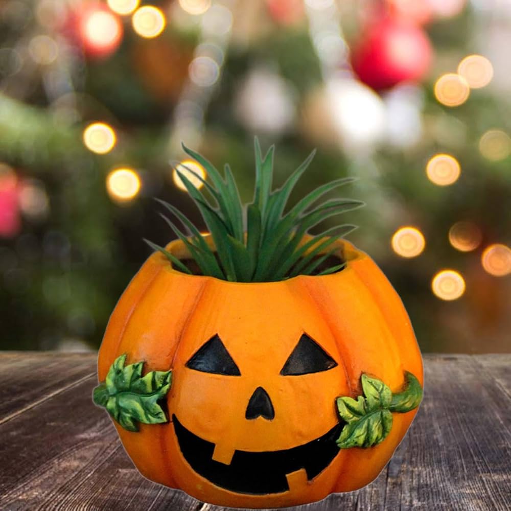 Amazon.co.jp: T Tooyful 植木鉢 ハロウィンかぼちゃプランター